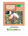 Fèves de cacao crues non fermentées Bio